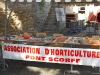 forum-12-09-2009-35